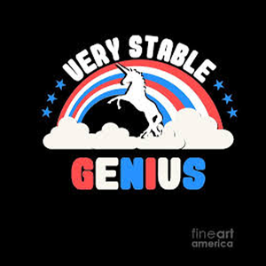 Stable Geniuses